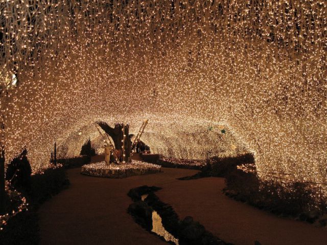 Amazing Christmas Lights
