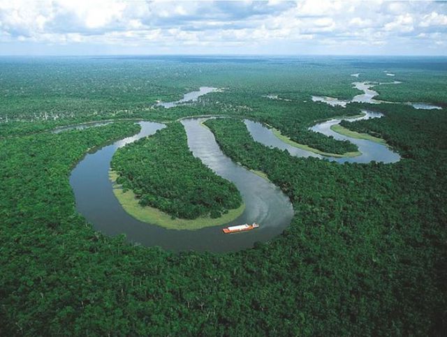 Breathtaking Shots of The Amazon Forest