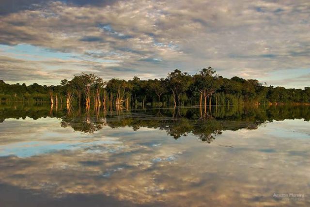 Breathtaking Shots of The Amazon Forest