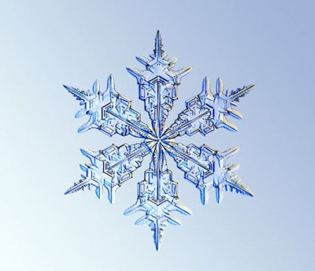 The Beauty of Snowflakes Up Close