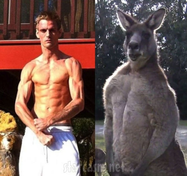 Kangaroos Are Tougher than You