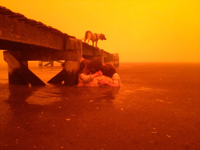 Powerful Pictures of Family Escaping Wildfires of Australia