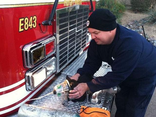 Firemen Rescue Cat from Arizona House Fire