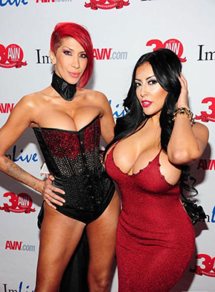 A Big Night For Porn Stars 2013 Avn Awards 59 Pics -6390