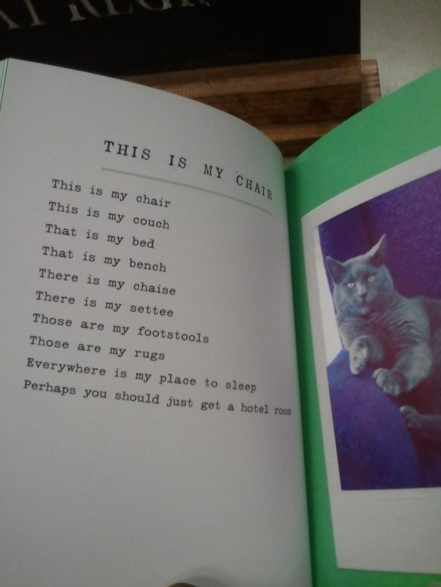 Did You Know Cats Write Poetry?