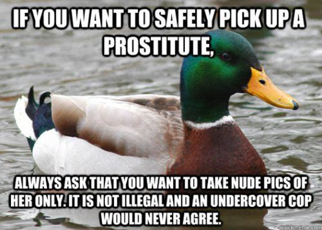 Marvellous Mallard Advice Memes