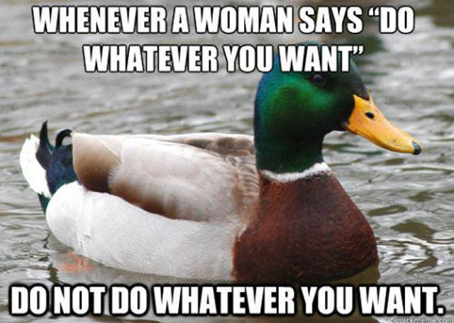 Marvellous Mallard Advice Memes