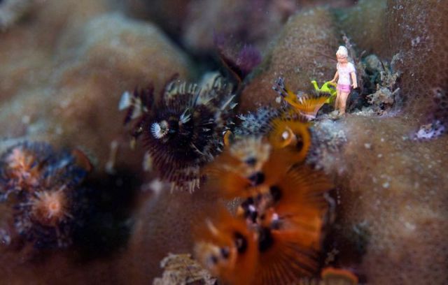 Funny Underwater Photo Stories