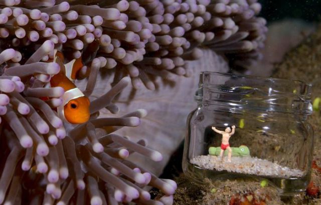 Funny Underwater Photo Stories