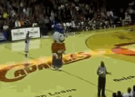 Mascots Who Make Their Own Rules