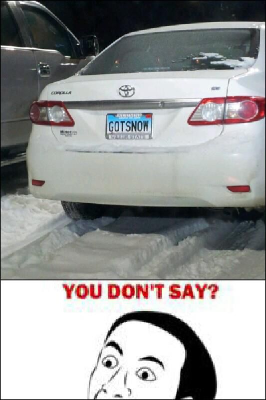 Daily Picdump [WEEKEND EDITION]