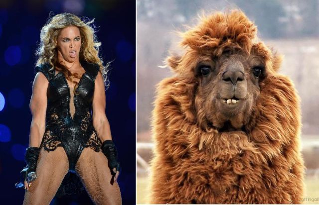 Amusing Responses to Original Beyonce Pics