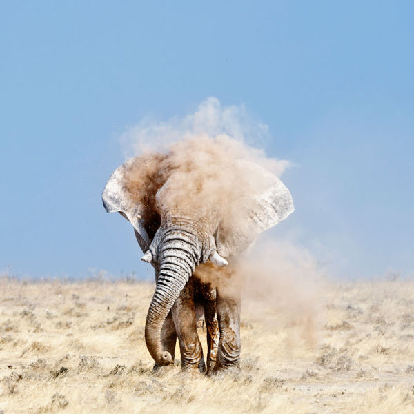 Shortlisted Finalists of the Sony World Photography Awards