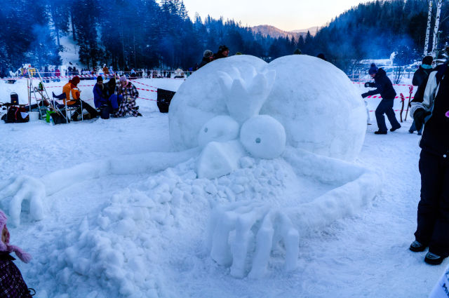 Snow Craft Contest