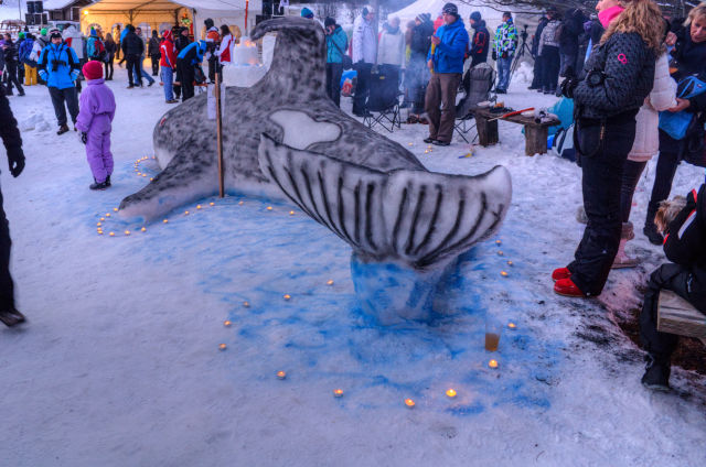 Snow Craft Contest