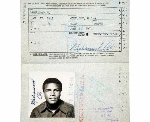 Passport Photos of Iconic Figures in History