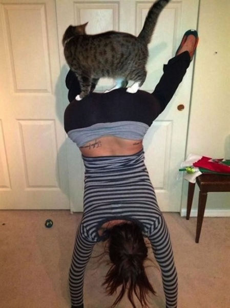 The Most WTF People and Pet Photos Ever