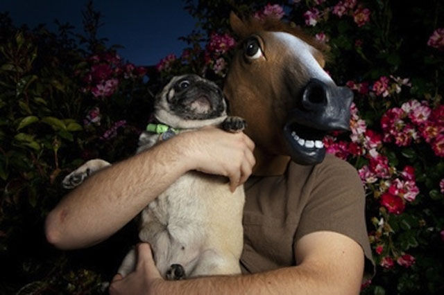 The Most WTF People and Pet Photos Ever