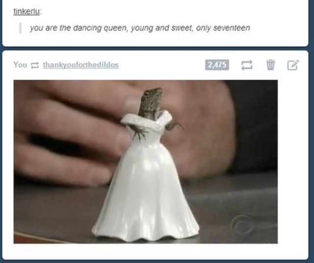 Amusingly Coincidental Tumblr Blogs