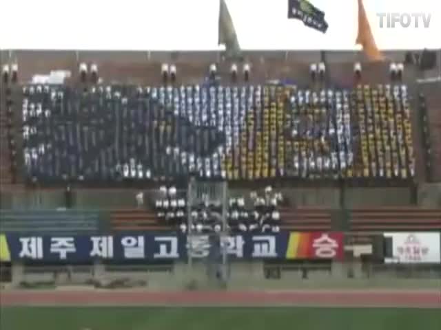 Insane South Korean ‘Human LCD’ 