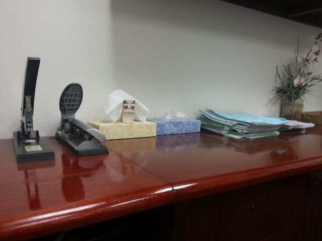 Grumpy Cat is the Perfect Office Decoration