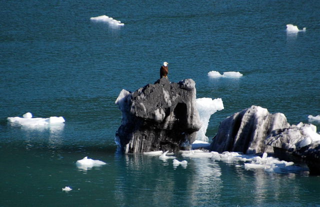 Gorgeous Photos of Stunning Natural Icebergs