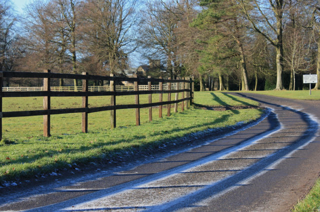 Frost Shadows Create All-Natural Works of Art