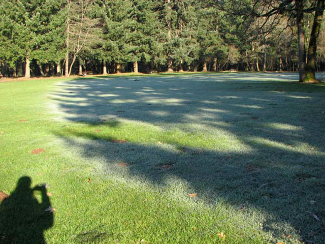 Frost Shadows Create All-Natural Works of Art