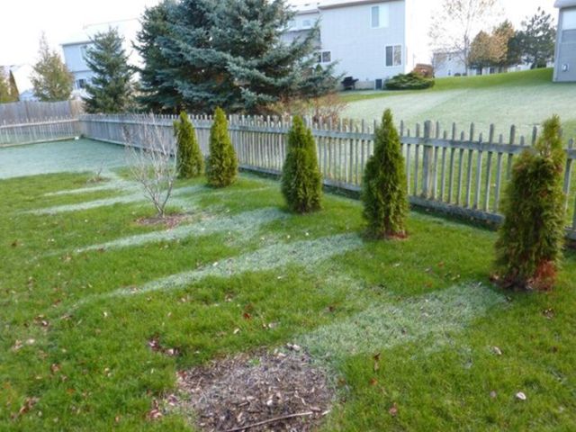 Frost Shadows Create All-Natural Works of Art