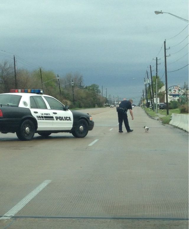 Proof That Cops Can Be Cool Too