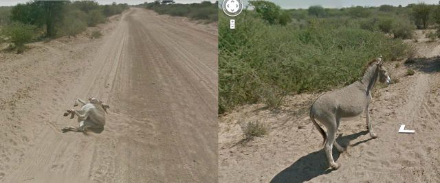 Amusing Things Caught on Google Street View