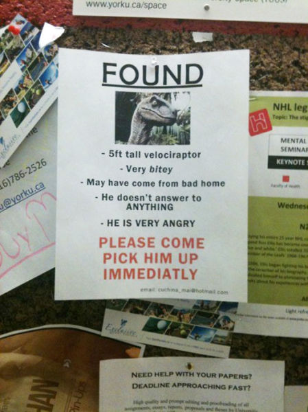 Clever Variations of the Average Lost and Found Sign