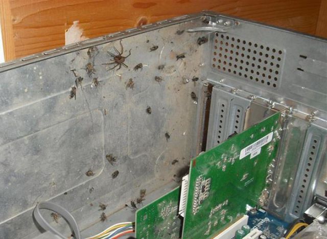 The Disgusting Things Found Inside PCs