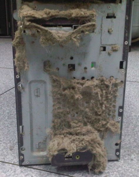 The Disgusting Things Found Inside PCs