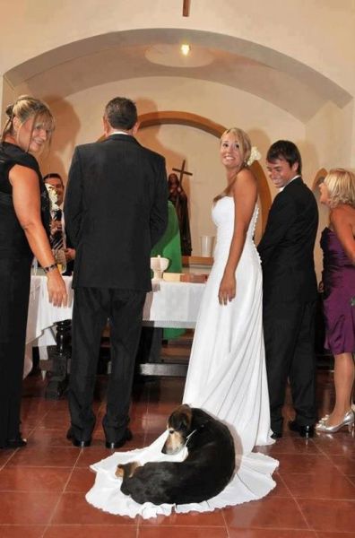 Memorable Wedding Moments You Don’t Usually See. Part 2