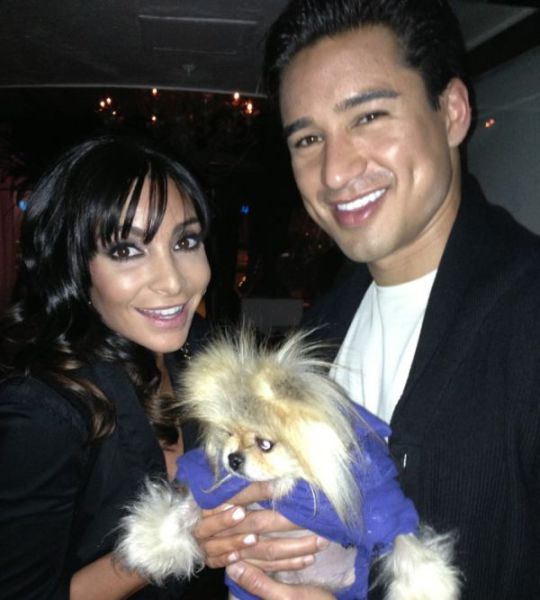 This Popular Pomeranian Has Many Celebrity Friends