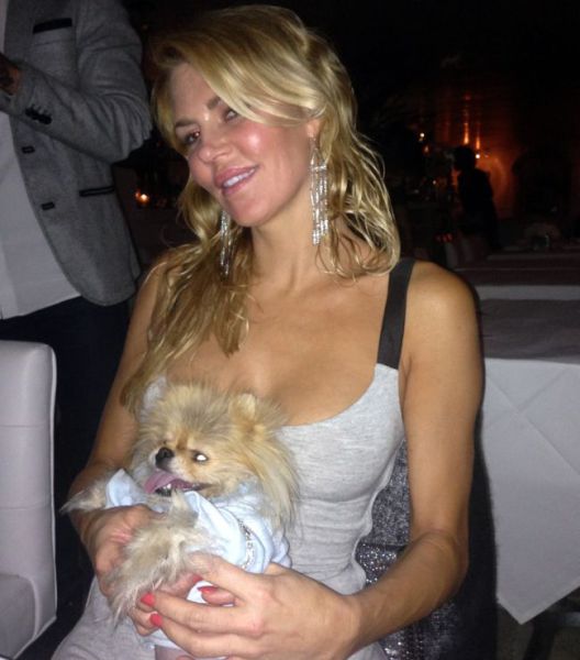 This Popular Pomeranian Has Many Celebrity Friends