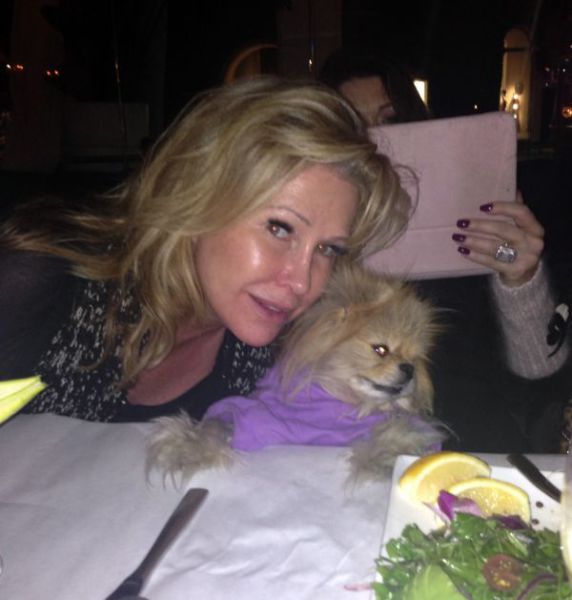 This Popular Pomeranian Has Many Celebrity Friends