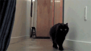 friday_gifdump_323_15.gif
