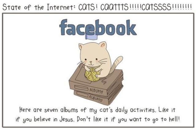 Cats Help Us to Understand the Internet