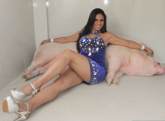 Would You Keep a 250kg Pet Pig?