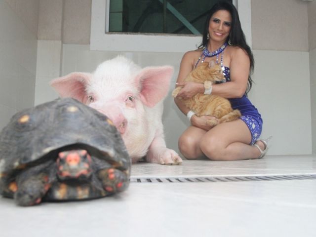 Would You Keep a 250kg Pet Pig?