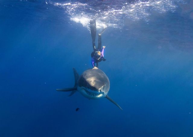 An Extremely Brave and Beautiful Conservationist