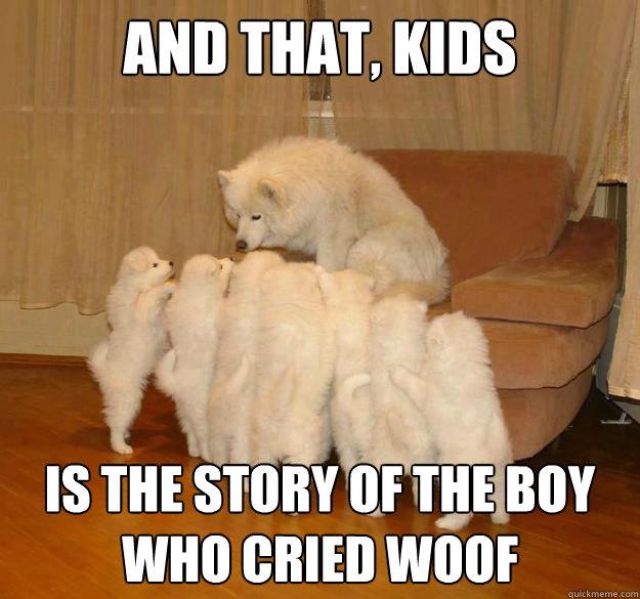 The Best Stories of the Storytelling Dog Meme