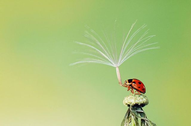 The Top 50 Photos of the Annual Smithsonian Contest