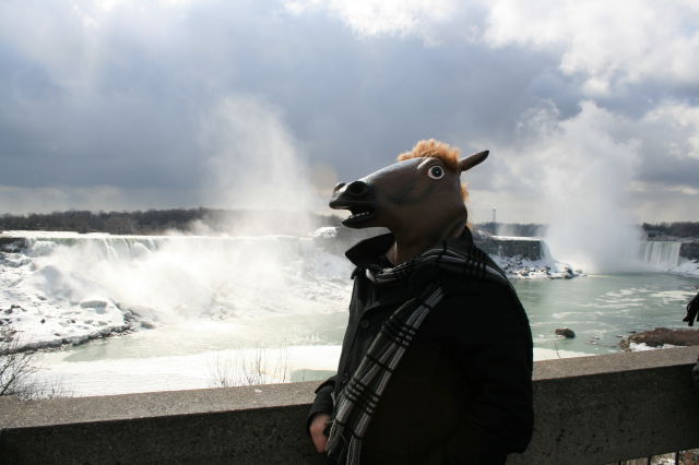 My Trip to Niagara Falls