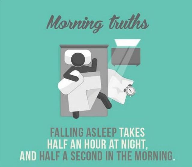 The Sad But True Facts about Mornings