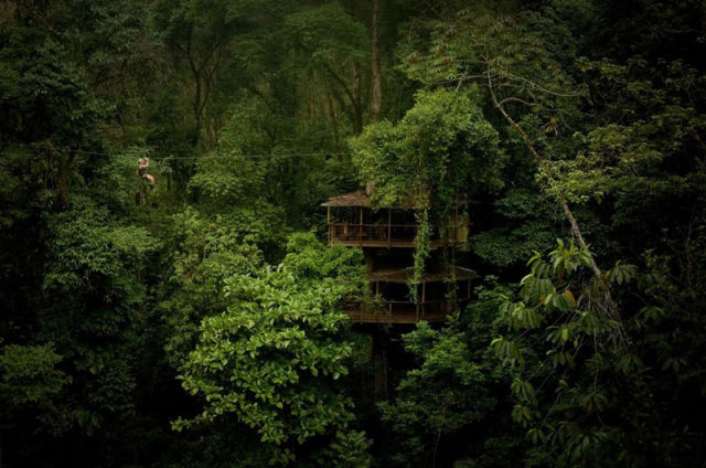 Experience Treehouse Living in Forested Costa Rica Resort
