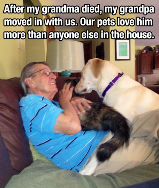Dogs Are a Great Source Of Unconditional Love
