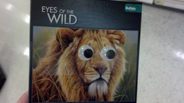 Googly Eyes Make Everything Better